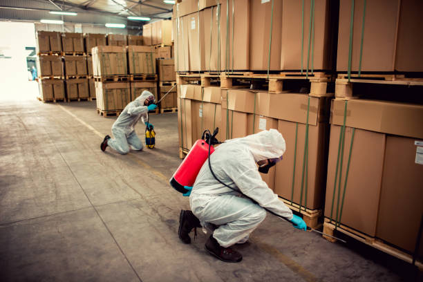 Best Best Pest Control Companies  in Woodville, FL