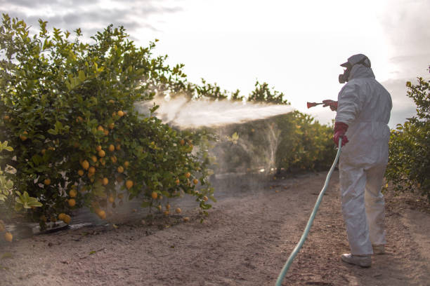 Best Residential Pest Control  in Woodville, FL
