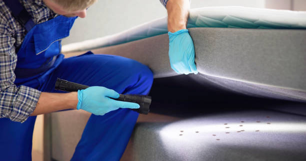 Best Best Pest Control Companies  in Woodville, FL