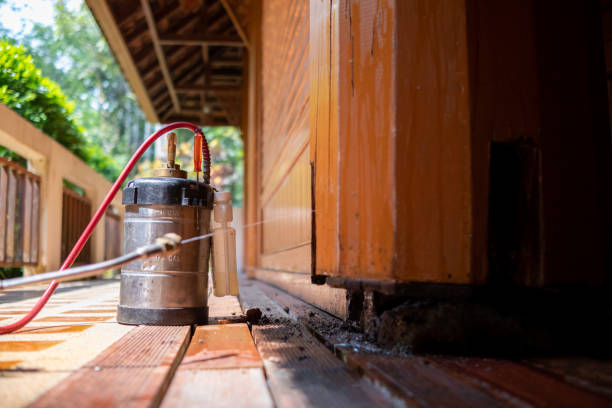 Best Pest Inspection Near Me  in Woodville, FL