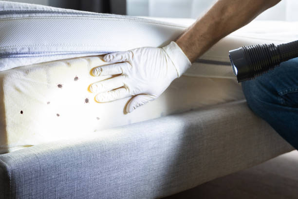  Woodville, FL Pest Control Pros