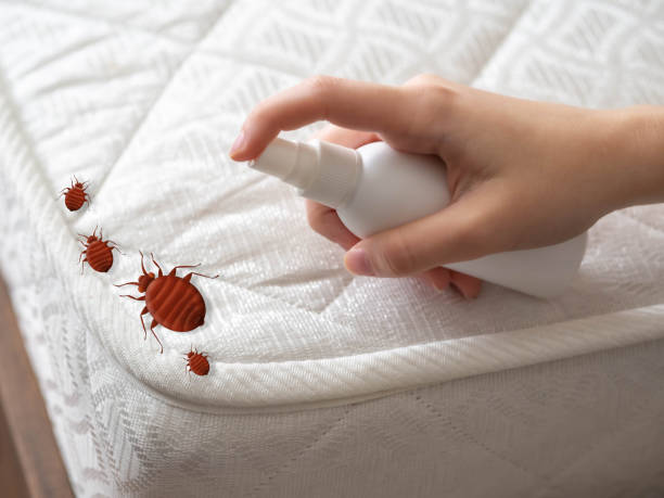 Best Residential Pest Control  in Woodville, FL