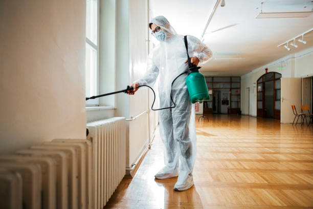 Best Rat Extermination Near Me  in Woodville, FL